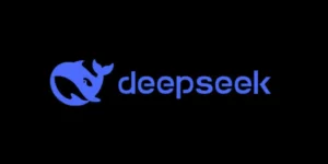 DeepSeek 使用技巧